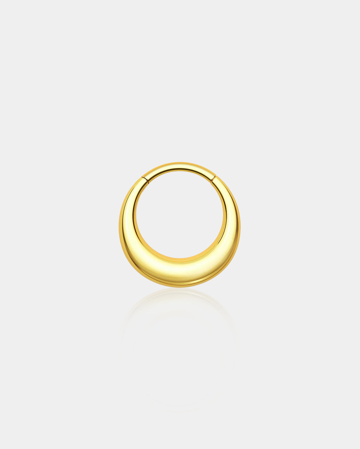 Fake Gauged Hinged Segment Septum Ring