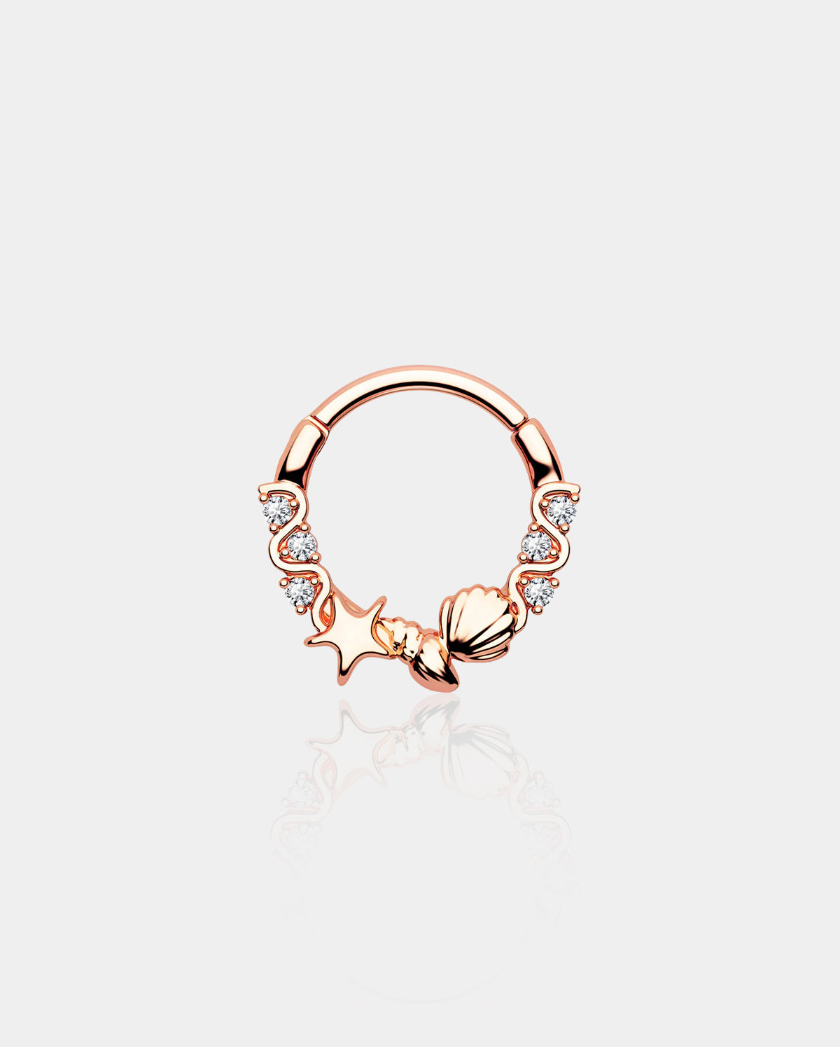Aquarium Segment Septum Rings By Gina
