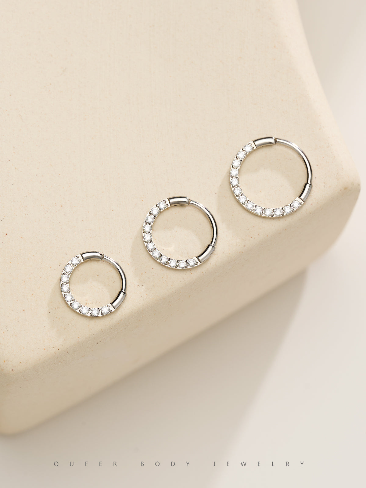 20G Front CZ Segment Nose Ring