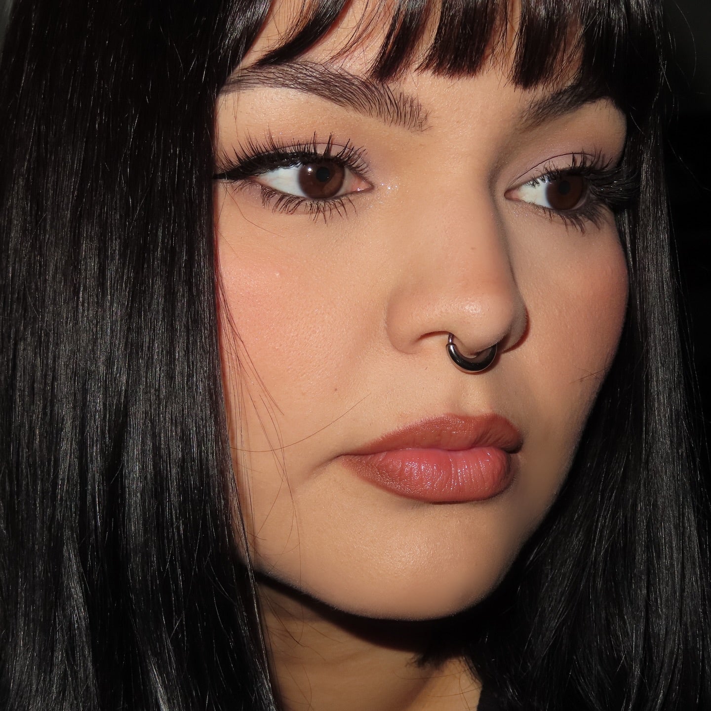 Fake Gauged Hinged Segment Septum Ring