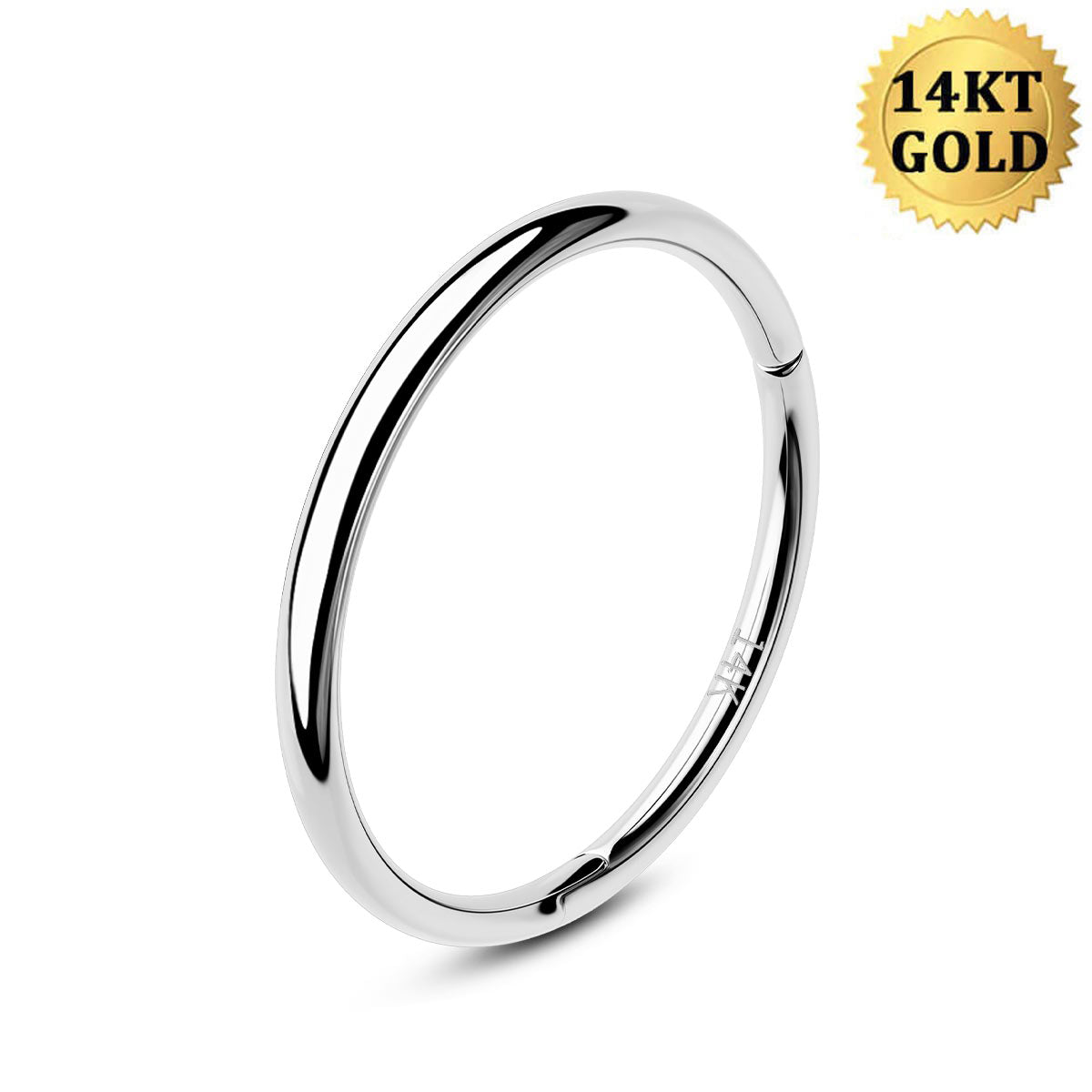 20G 14K White Gold Minimalist Segment Nose Hoop