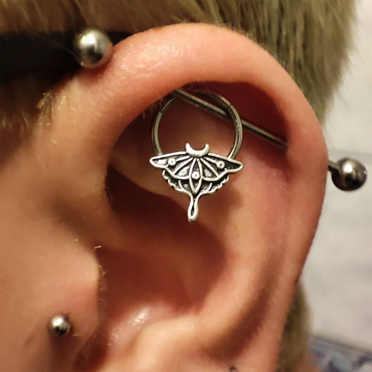 Retro Moon Phase Moth Segment Septum Ring