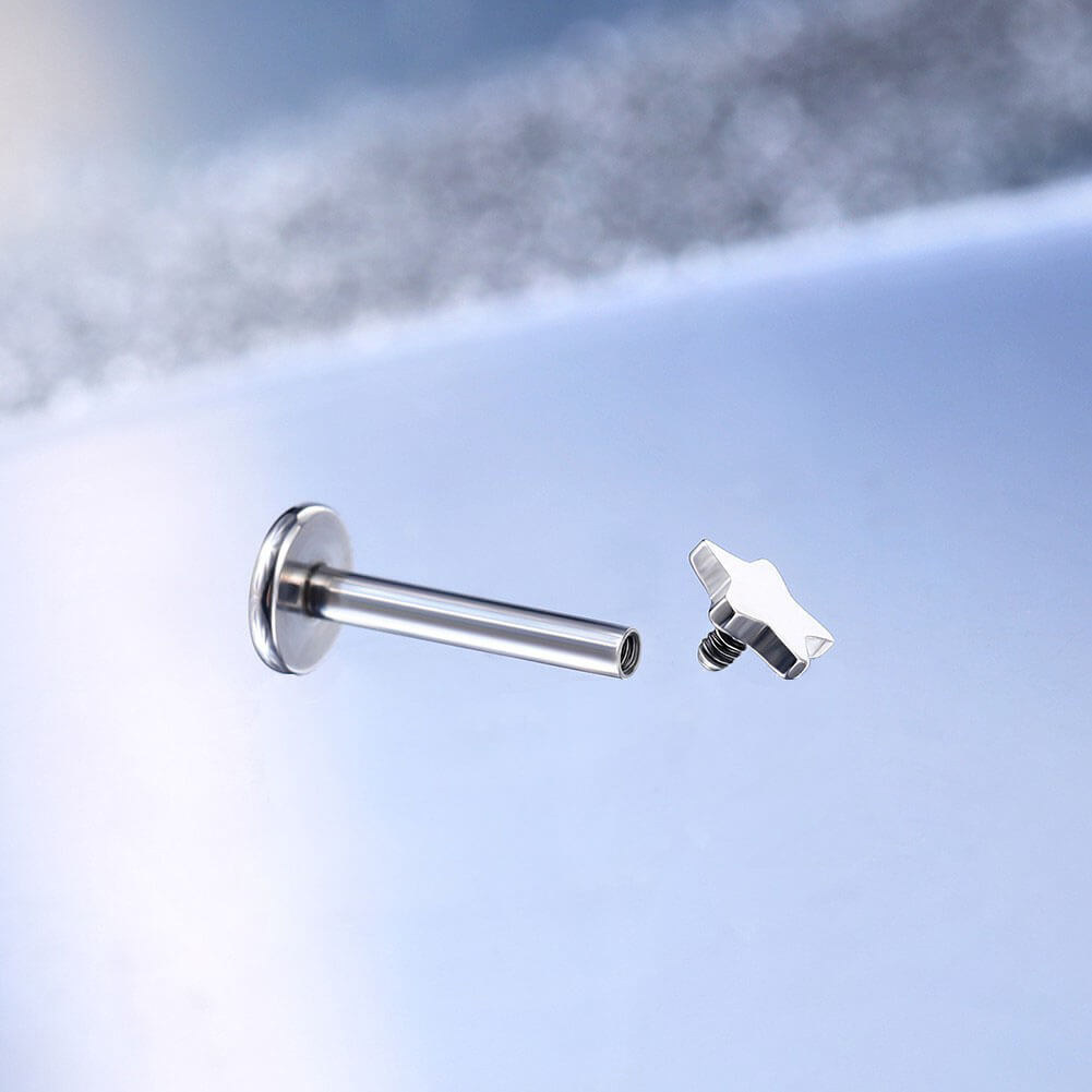 internally threaded labret earrings