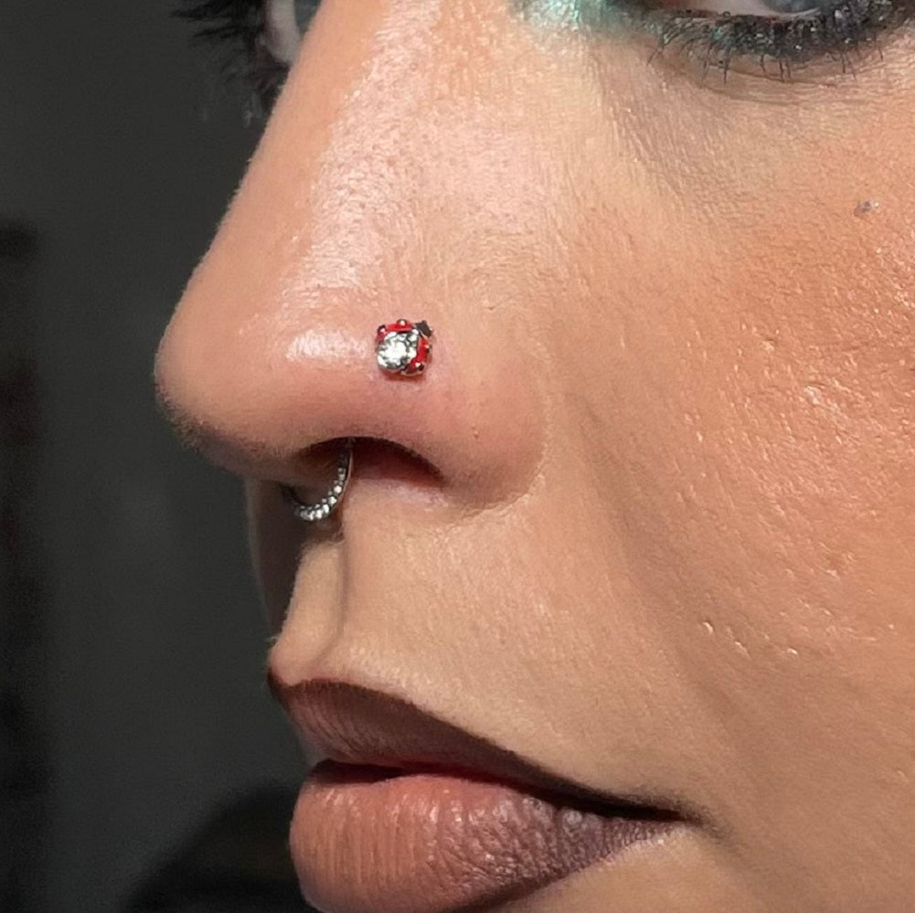 3PCS Daisy/Ladybird/Mushroom Nose Stud Pack