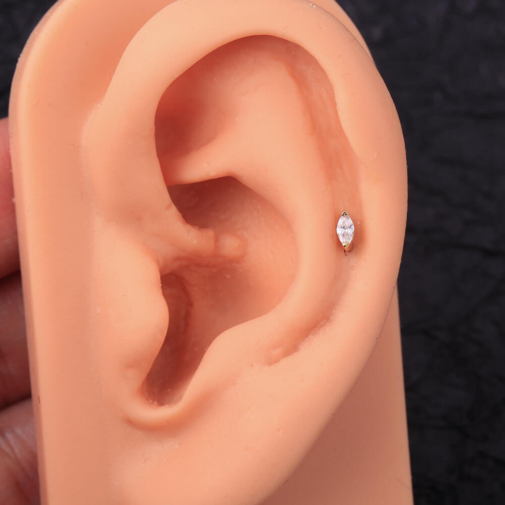 conch stud