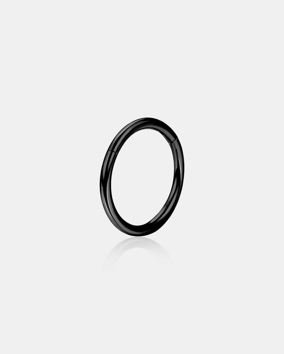Titanium Hinged Segment Nose Ring