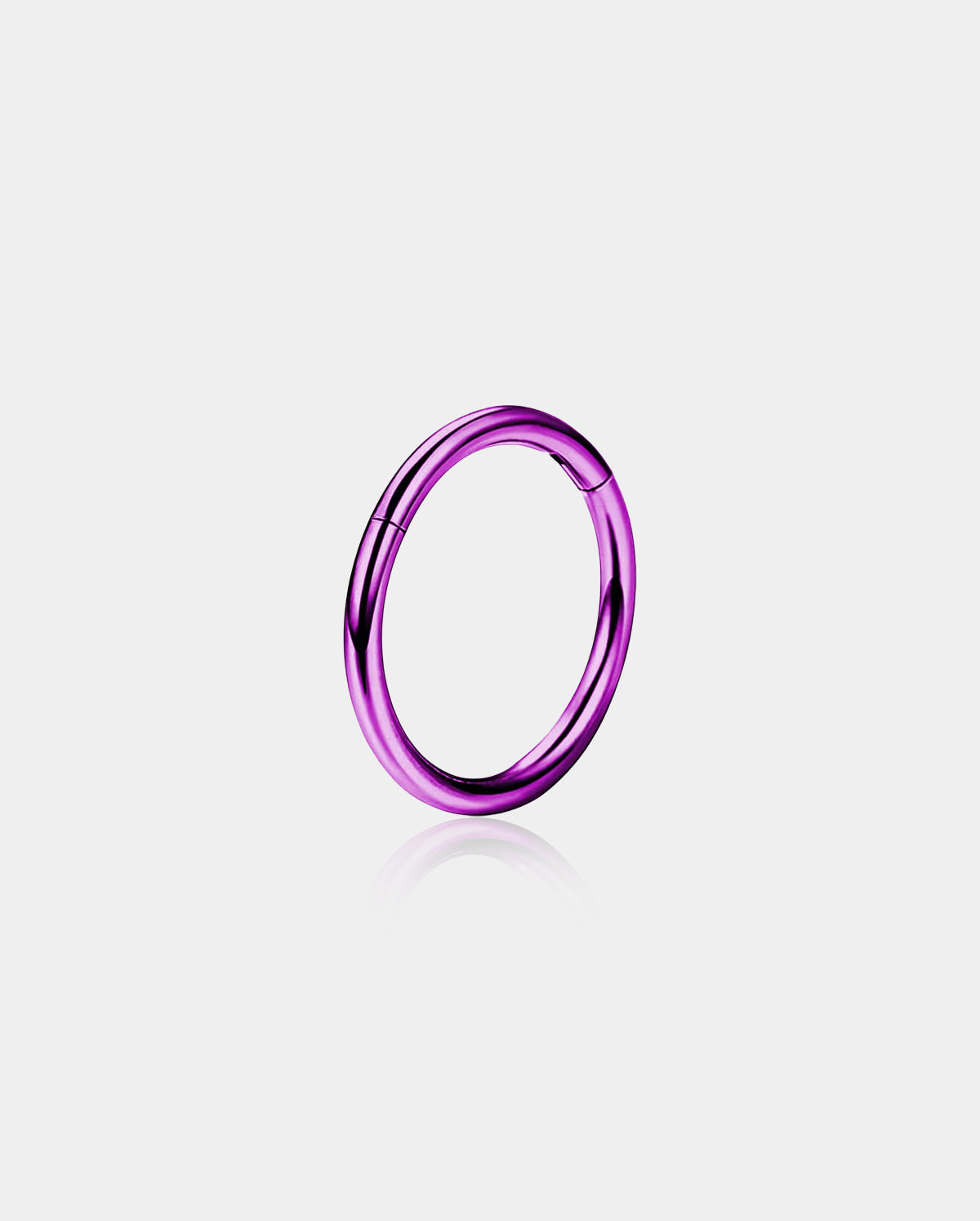 Titanium Hinged Segment Nose Ring