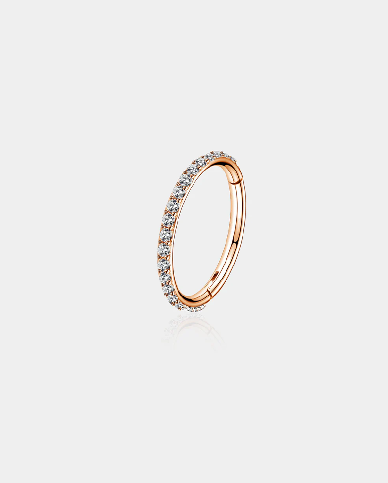 CZ Hinged Segment Nose Ring