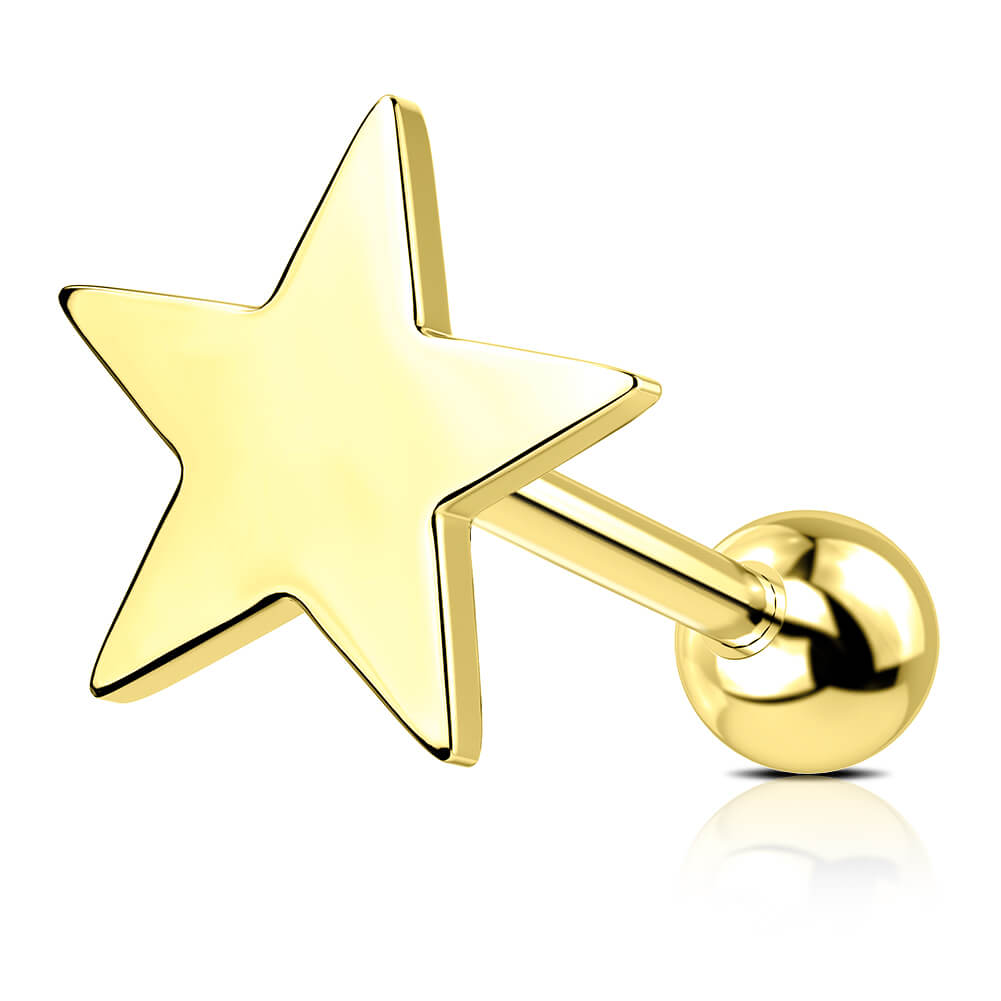 Gold star helix earring