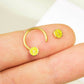 16G Lemon Slice Horseshoe Septum Ring