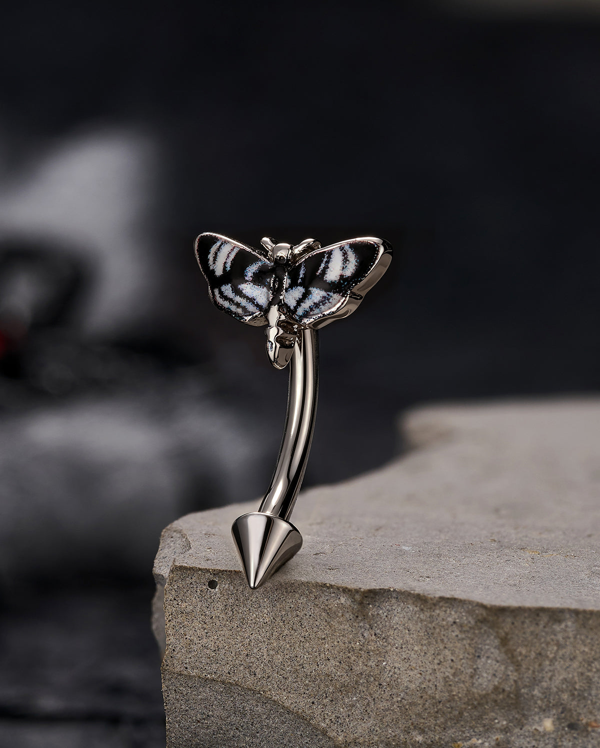 Moth Internally Threaded Curved Eyebrow Ring