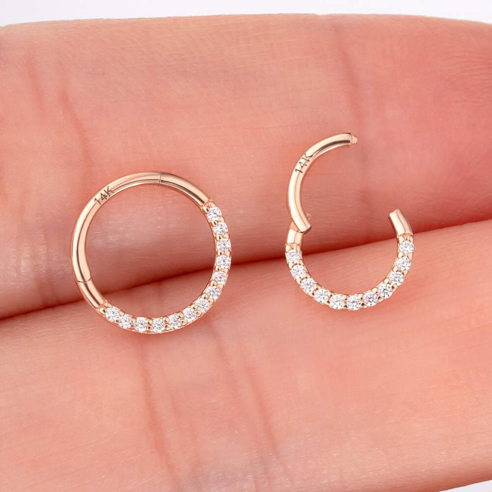 segment 18 gauge septum ring