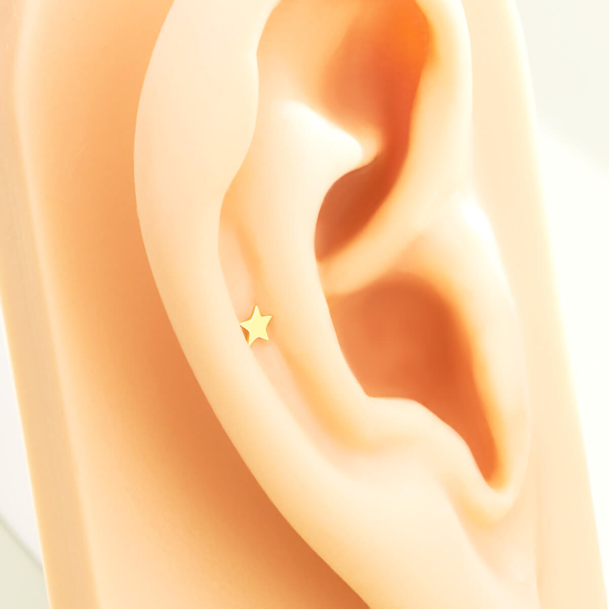 conch nose piercing earrings 
