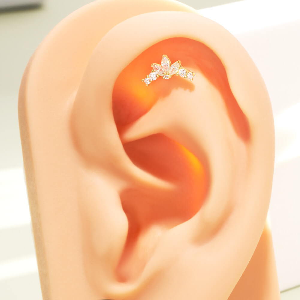 nose piercing helix earrings
