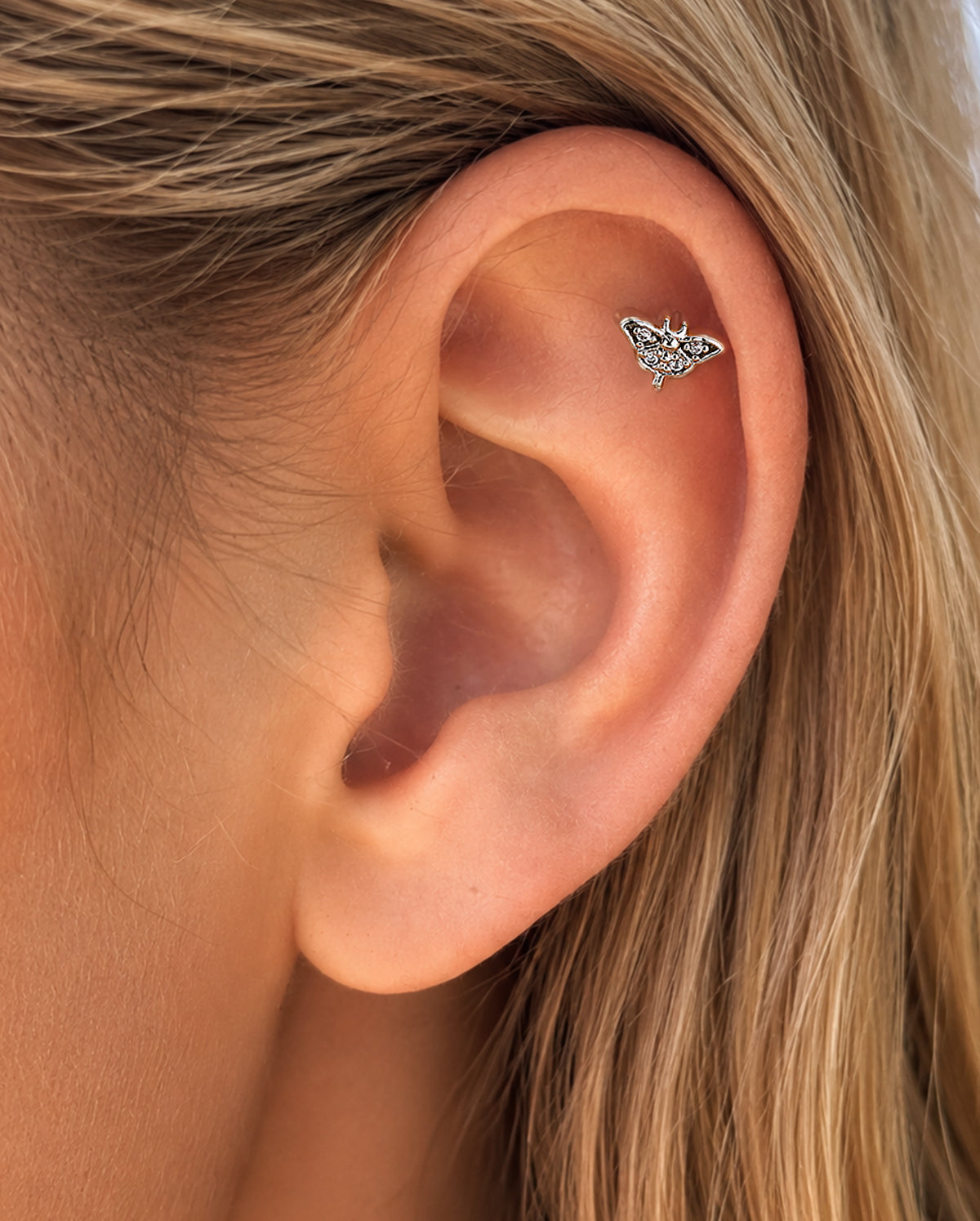 moth helix piercing