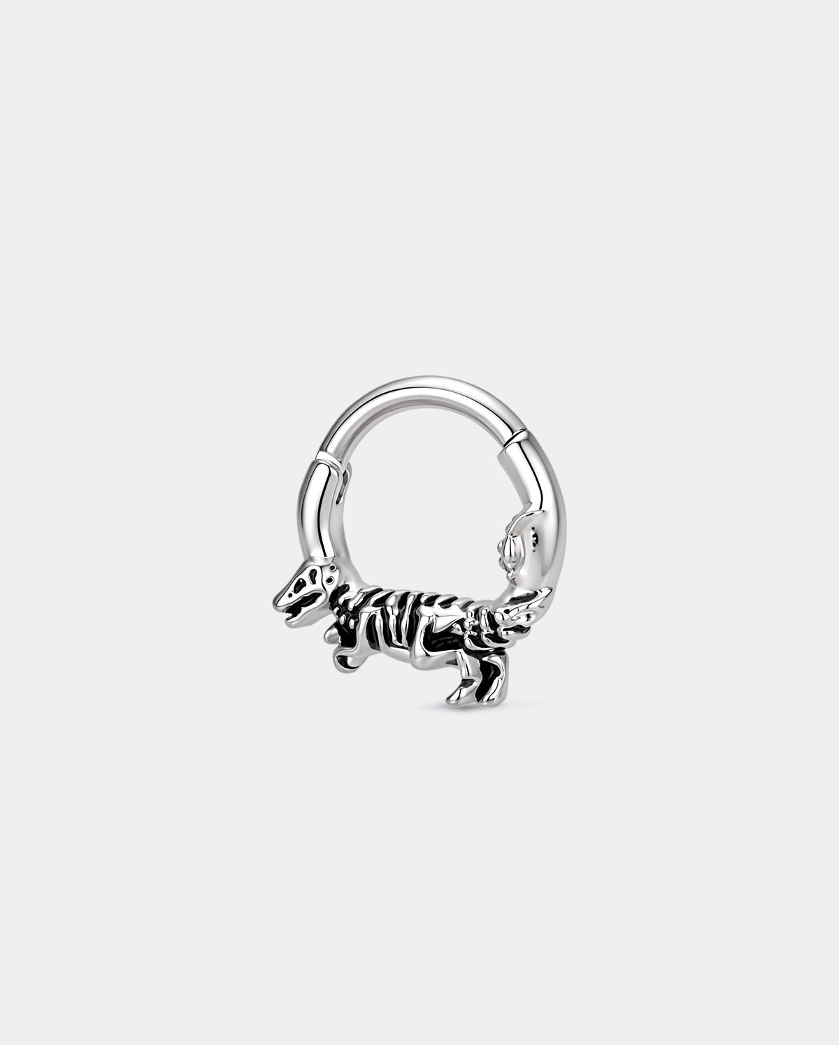 Dinosaur Skeleton Segment Septum Ring