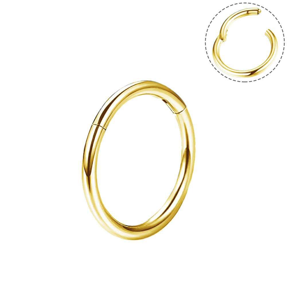 18G Minimalist Hinged Segment Nose Hoop
