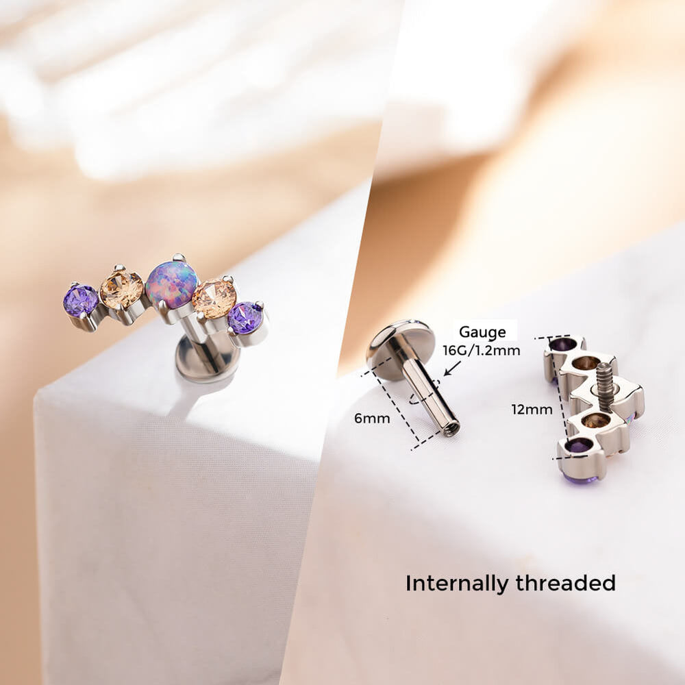 16G Purple and Blue Internally Threaded Flat Back Titanium Ear Piercing ...