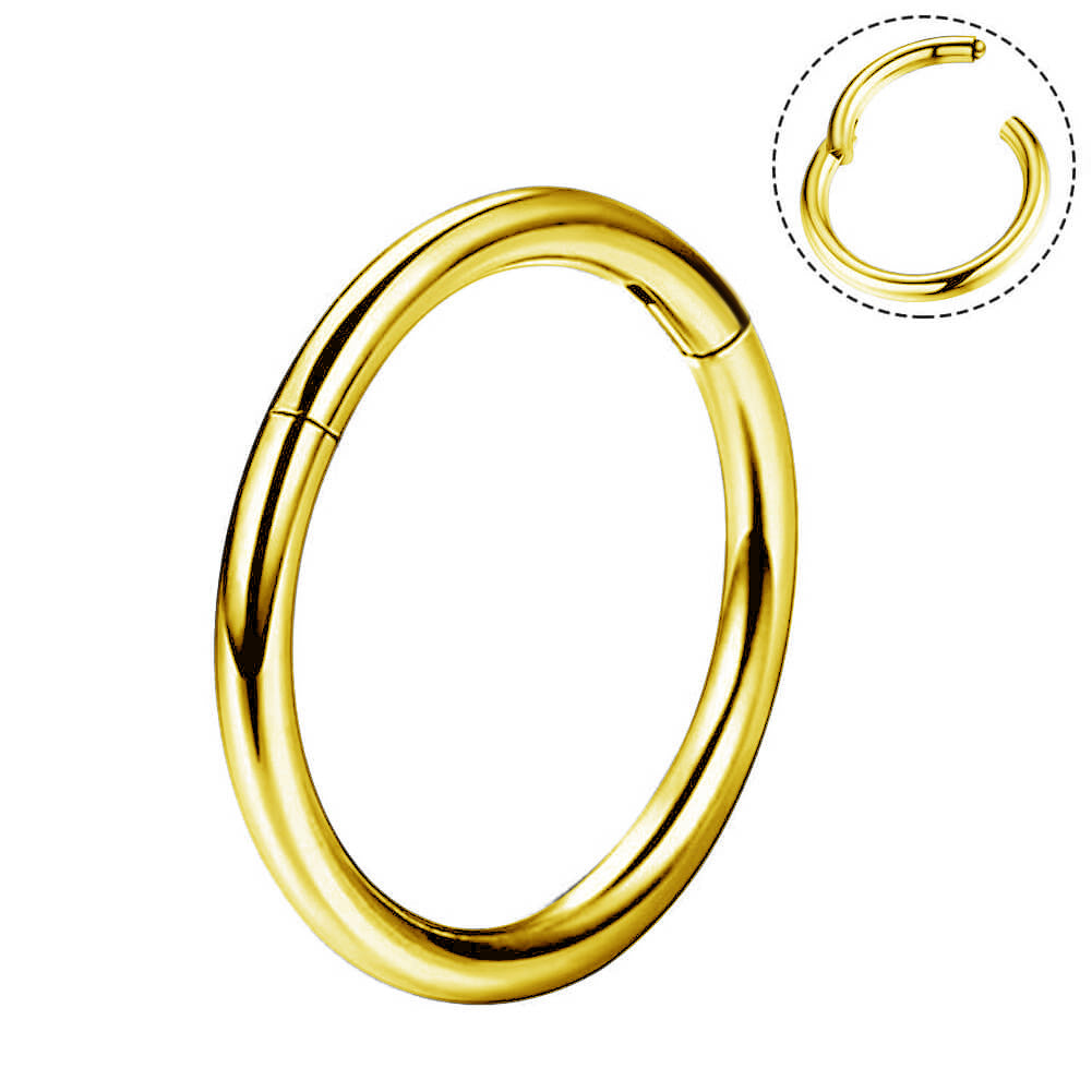 gold titanium hinged nose ring