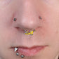 Anneau de septum en zircone cubique avec cœur transparent et serpent perché