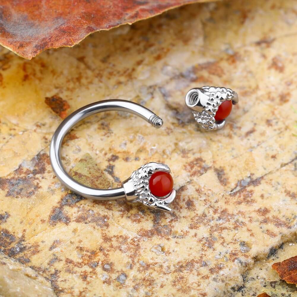 16G 3/8 ''Dragon Septum Ring Gem Circular Barbell Anillo