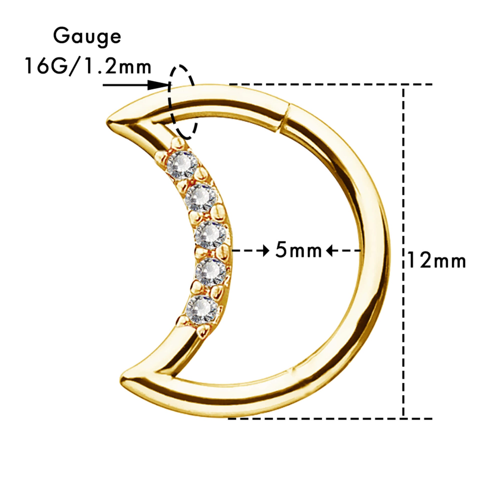 16g gold daith earring