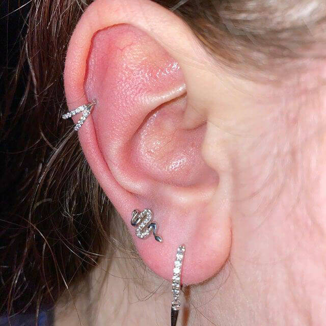 double conch hoop