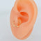 Anneau Cartilage Helix 16G Or – Bijou Perceuse Tragus Daith Conch Rook – Acier Chirurgical 316L 6/8/10/12 Mm OUFER