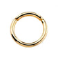 14K Gold Hinged Segment Hoop Cartilage Earring 16G Septum Ring