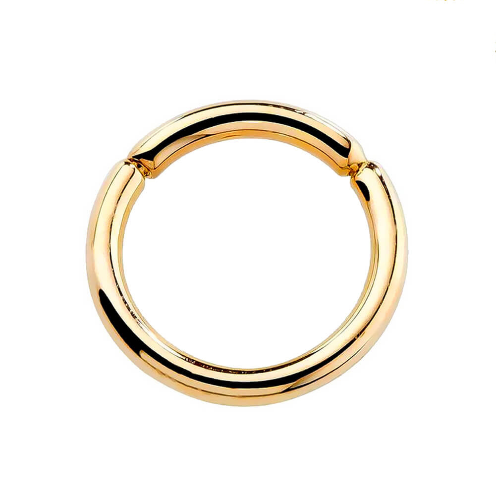 14K Gold Hinged Segment Hoop Cartilage Earring 16G Septum Ring