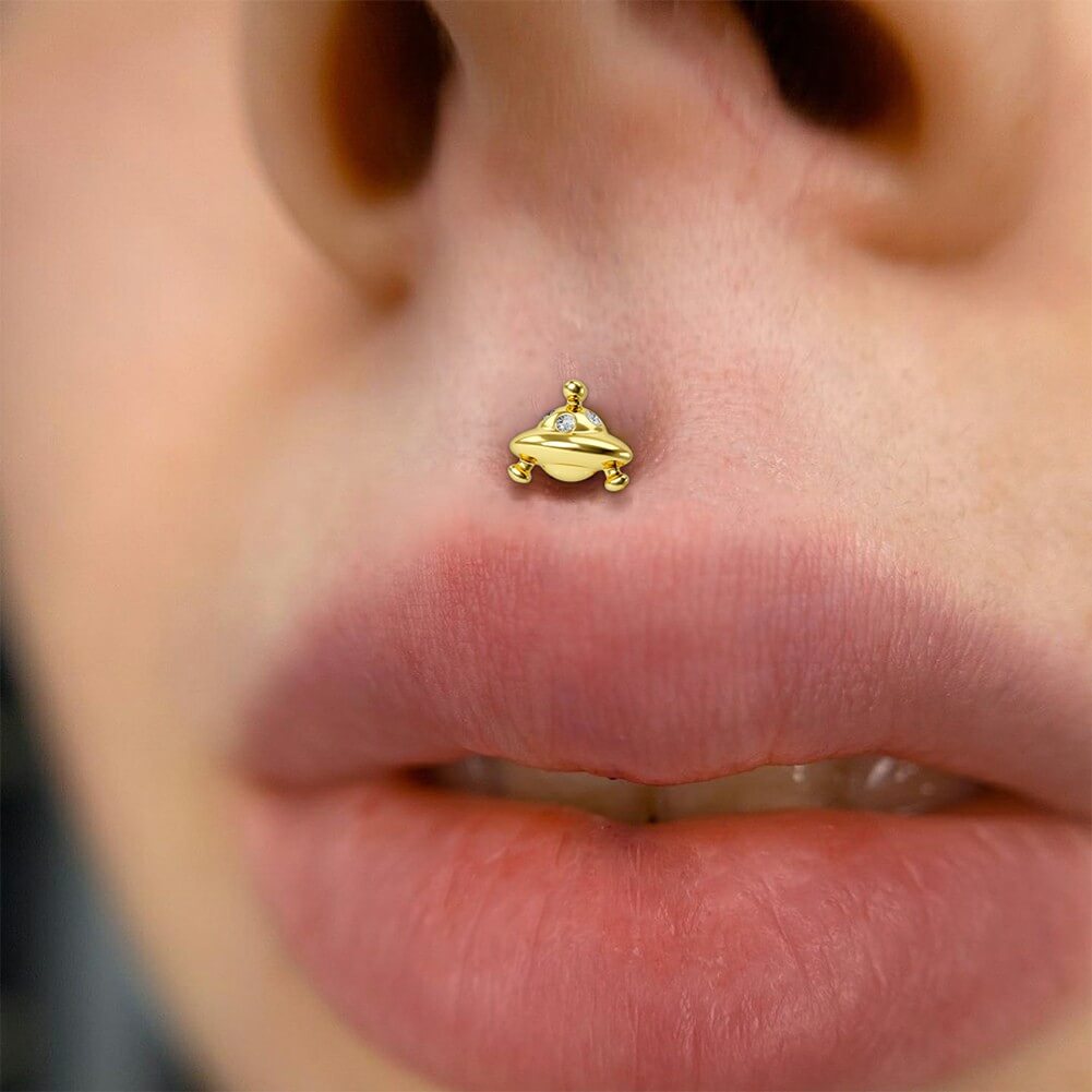 lip piercing bars