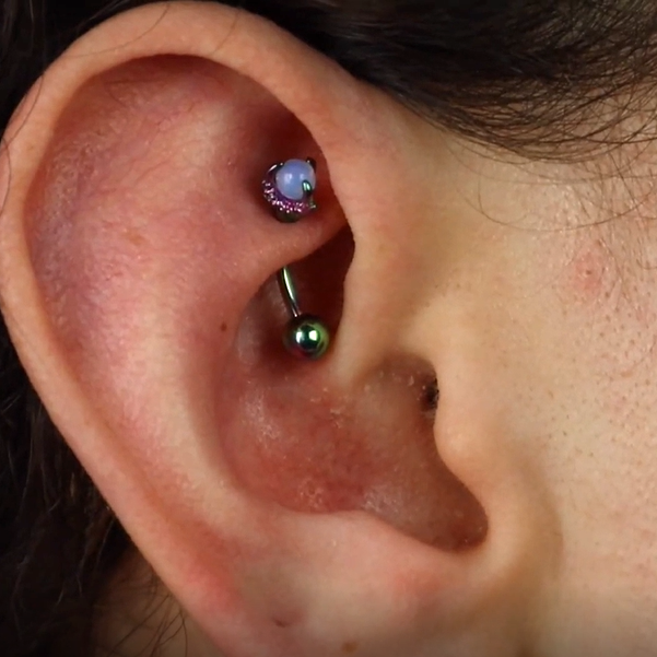 16G Opalite Three Dragon Claws Rook Earrings Eyebrow Rings